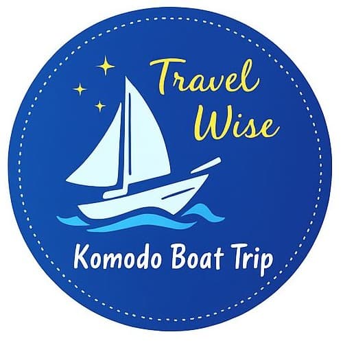 Travel Wise Logo