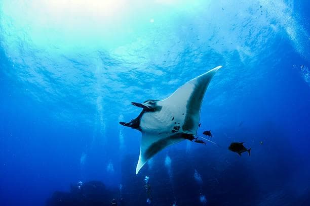 Day 3 – Hidden Islands of Sumbawa: Moyo, Medang & Bola