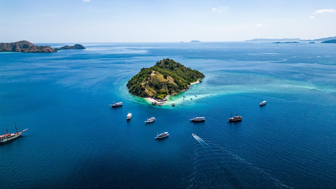 Day 2 – Whale Sharks at Saleh Bay (Sumbawa)